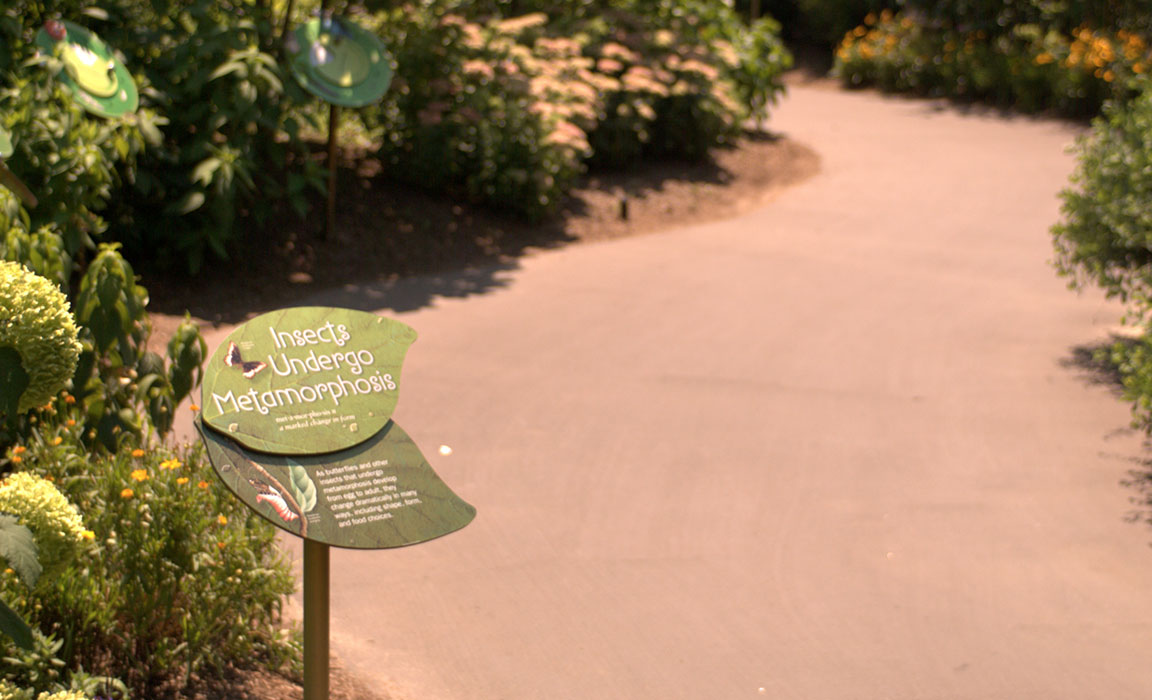 Butterfly Garden, NY