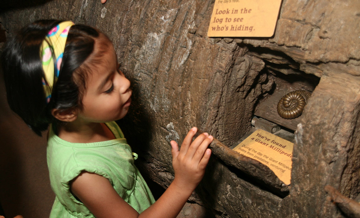 Madagascar Exhibit, NY